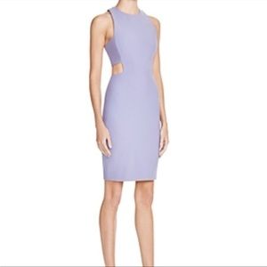 Elizabeth and James Phoenix Dress in Lilac. Size 6.